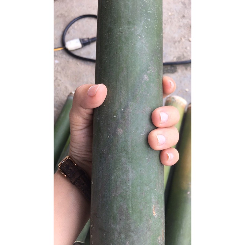 Ống nướng thịt dài 25cm