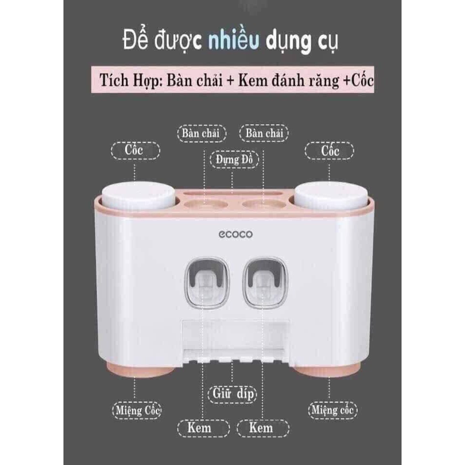 Bộ Nhả kem đánh răng ecoco 4 cốc