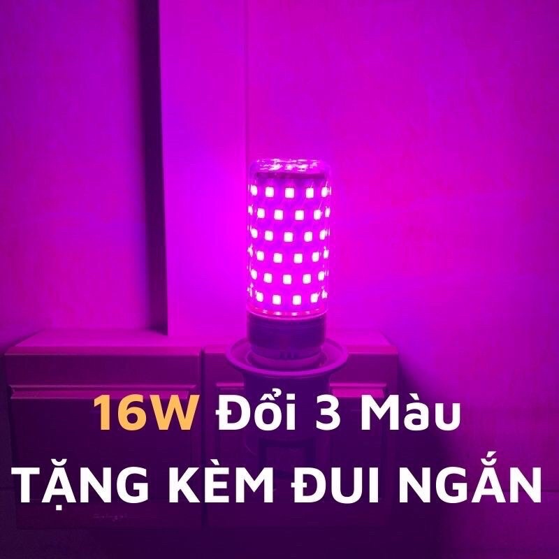 Đèn LED tiktok đổi màu 3 trong 1 cực đẹp bền xịn có kèm đui loại 16w
