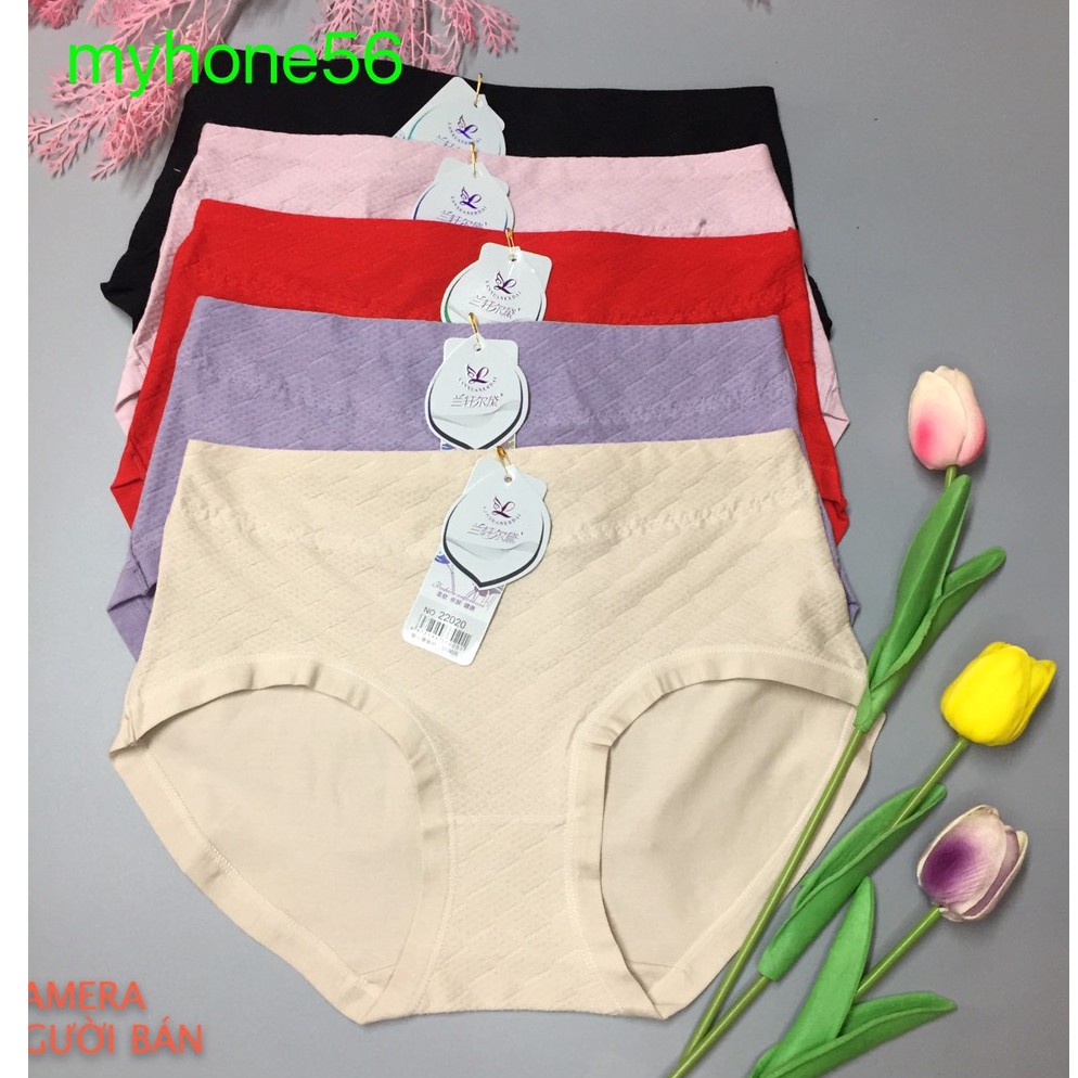 Quần lót cạp cao thông hơi vải cotton 20220
