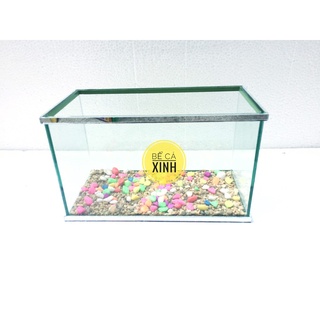 Bể cá mini 25cm- 30cm + đèn led ( tặng phụ kiện)