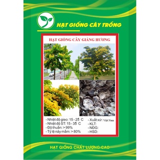 Hạt giống cây giáng hương kns3722 - gói 5 hạt
