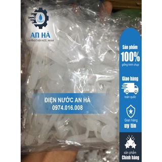 Tắc kê bướm 100 con