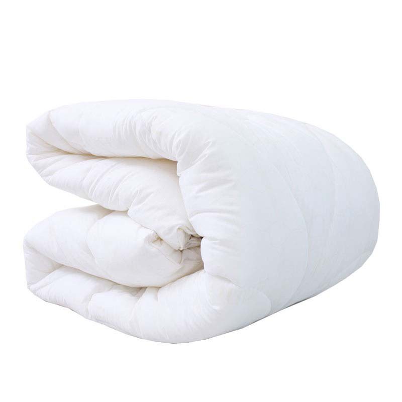 Ruột Mền Loại Dày Ruột Chăn Bông Trắng Tinh Khiết Kích Thước 1m9x2m1