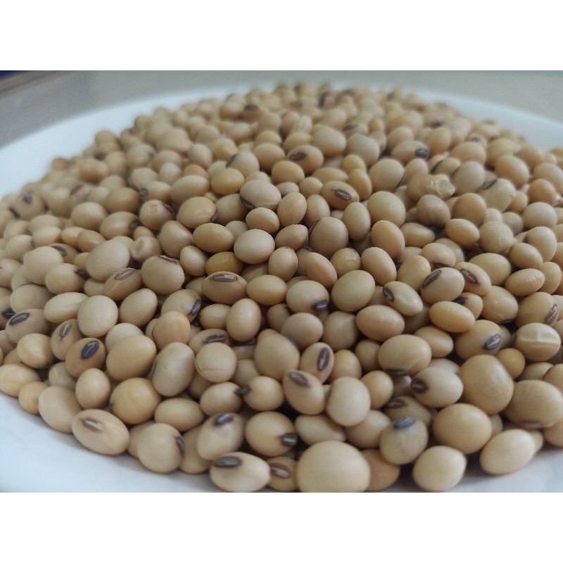 Đậu nành 1kg
