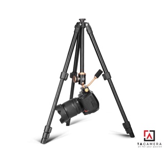 Chân Máy Ảnh Tripod & Monopod Beike Q160S
