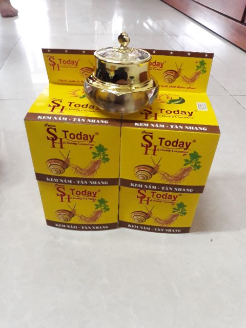 SH Today vàng kem nám tàn nhang 10 tác dụng 40g