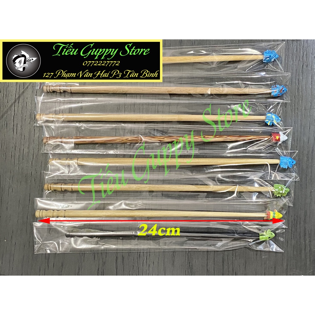 Cây Kè Cá Betta Nhiều Màu Sắc (Mẫu chọn ngẫu nhiên)