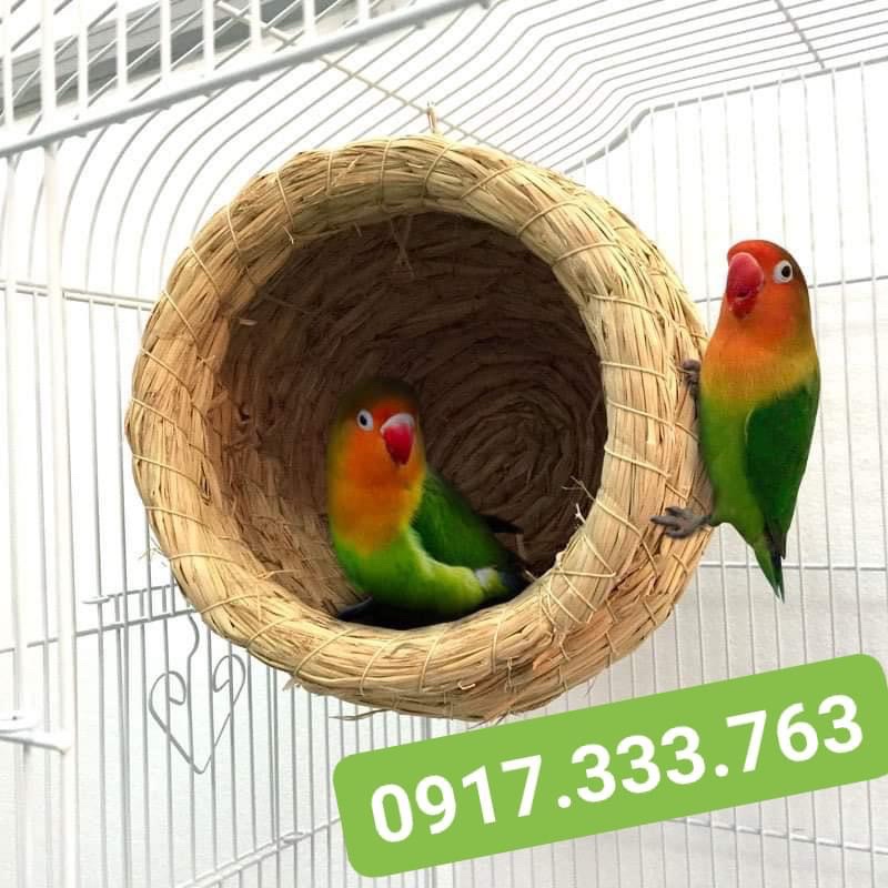 Tổ đẻ hàng thủ công dành cho chim vẹt nhiều mẫu