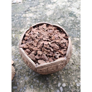 25k/kg vỏ thông nhỏ dùng lan hay kiểng lá