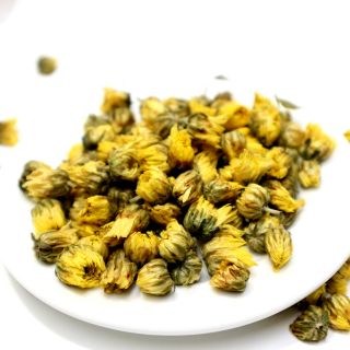 HOA CÚC NỤ ĐÀ LẠT.