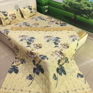 [Giá Hủy Diệt] Chăn Hè Ga Gối 5 Món Cotton Poly Cúc Vàng