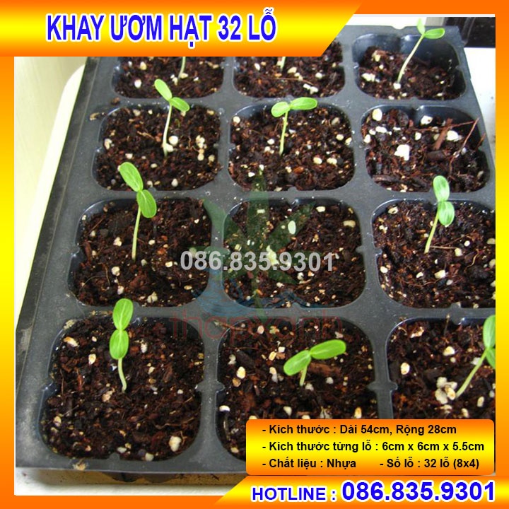 COMBO 5 CÁI KHAY NHỰA ƯƠM HẠT 32 LỖ, CHUYÊN DÙNG ĐỂ ƯƠM HẠT GIỐNG