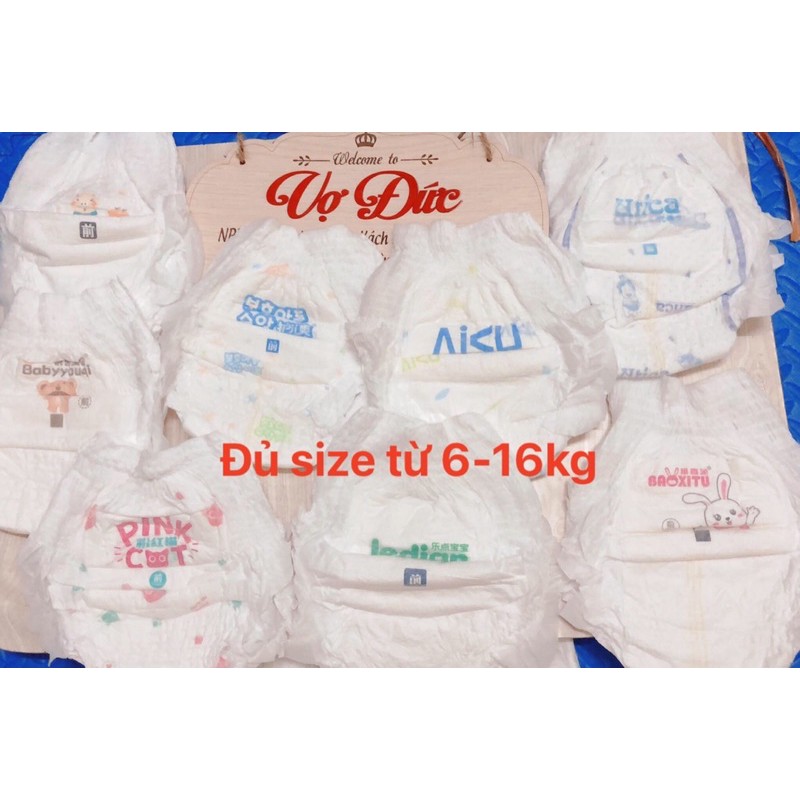 [FREESHIP] Combo 100m tã quần Bbzone cao cấp đủ size L100/XL/100/XXL100