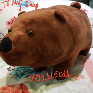 Gấu bông anh em nhà gấu
