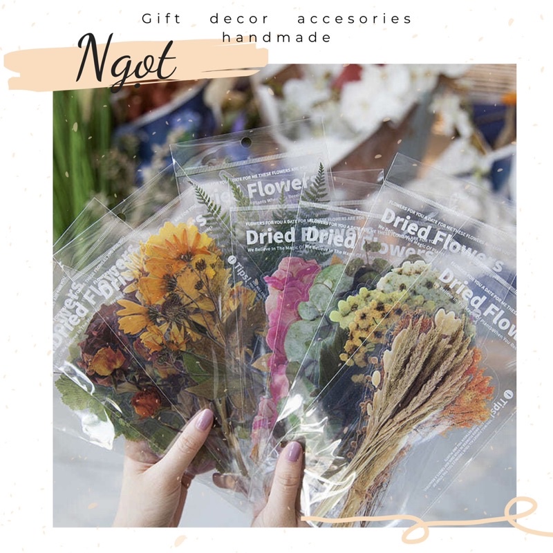 Tập 6 Sticker Dried Flower Hoa Lá Bản To