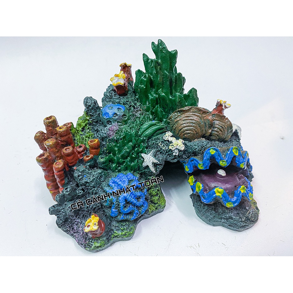TIỂU CẢNH SAN HÔ ĐÀY BIỂN TRANG TRÍ BỂ CÁ TIỂU CẢNH 12X7X10CM