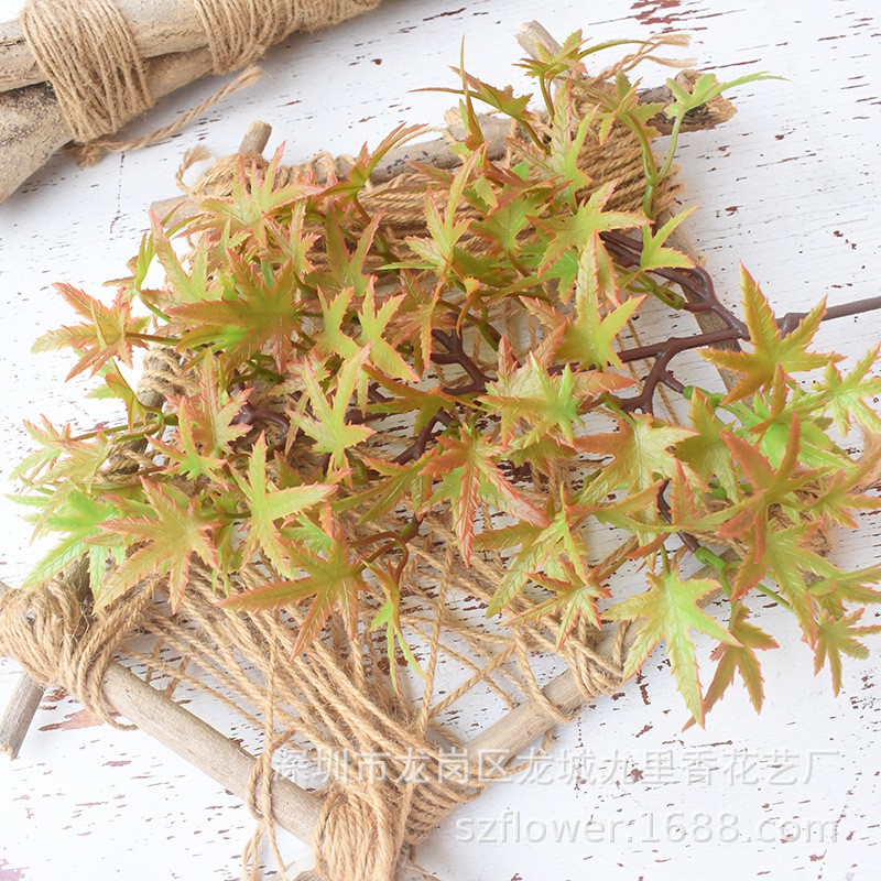 Mô hình lá phong  - Tráng trí gỗ, lũa bonsai tuyệt đẹp - Hàng chất lượng cao, màu tự nhiên.