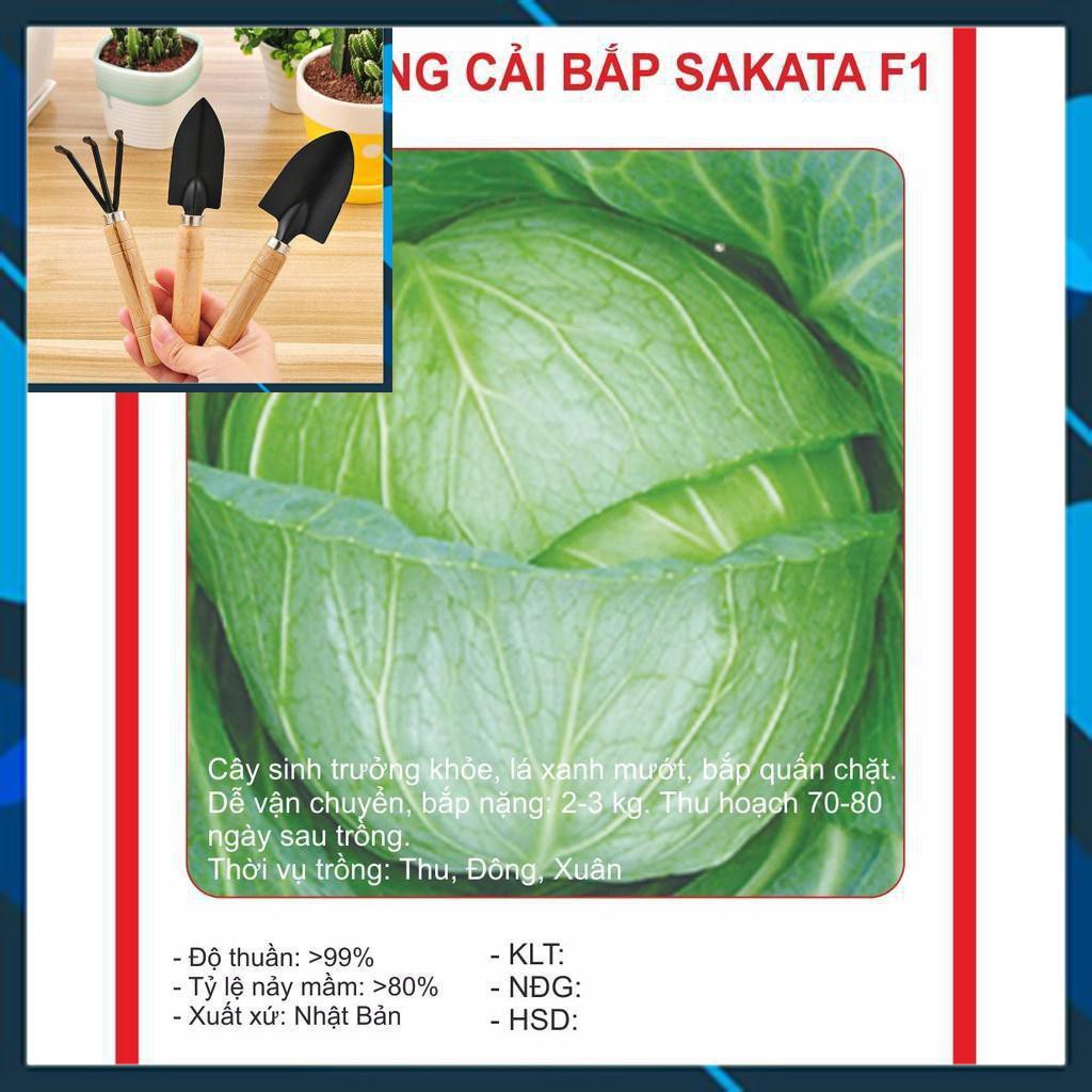 Hạt giống BẮP CẢI NHẬT - 0,2gram TẶNG BỘ LÀM VƯƠN MINI