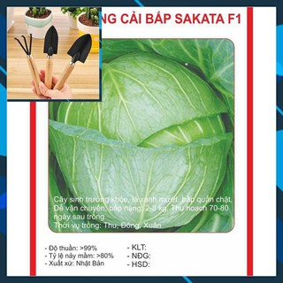 Hạt giống BẮP CẢI NHẬT - 0,2gram TẶNG BỘ LÀM VƯƠN MINI