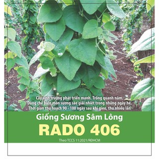Hạt giống sương sâm lông Rado 406 - gói 10 hạt