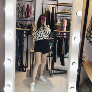 Áo sơ mi con bò sữa