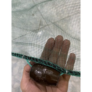 Đăng chặn sông,cống, Dớn cá, Dớn Chặn Cá, Săm Chặn