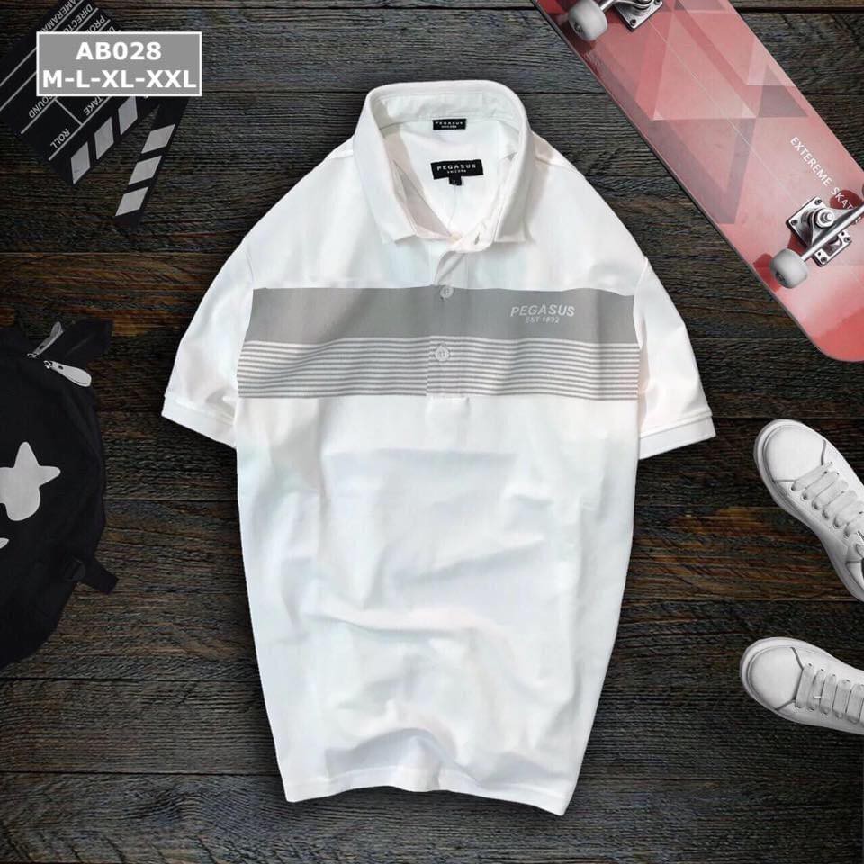 Áo thun nam có cổ POLO PEGASUS PG101 3M - Vải cotton lạnh đẹp, form basic thoải mái THE BASIC STORE | BigBuy360 - bigbuy360.vn