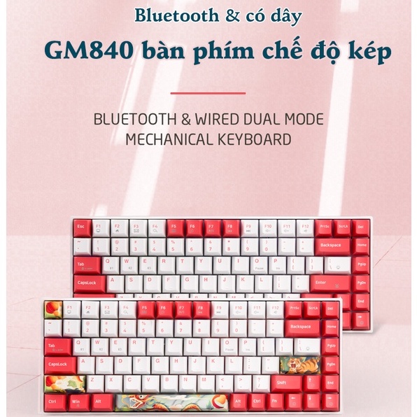 Newmen GM840 Bàn phím cơ không dây Dual mode BT5.0 &amp; Wired - Hàng chính hãng