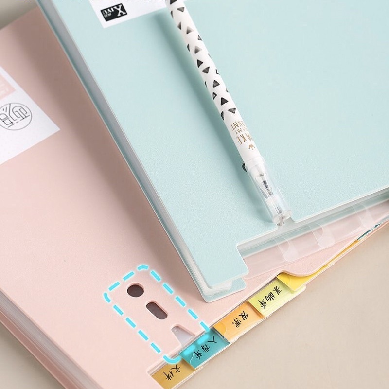 [ DaVinci ] File lưu hồ sơ tài liệu 13 ngăn kiểu dáng đẹp，4 màu khổ A4