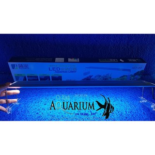 Đèn Led AQUABLUE  60cm
