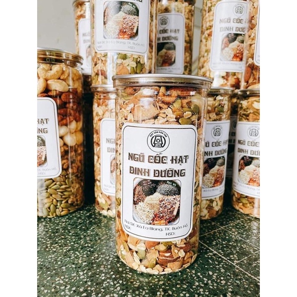 NGŨ CỐC HẠT DINH DƯỠNG