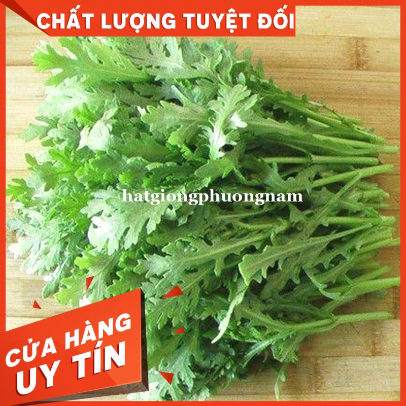 HẠT GIỐNG RAU TẦN Ô-Còn hàng