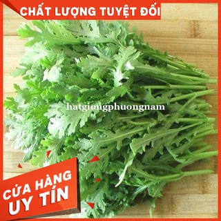 HẠT GIỐNG RAU TẦN Ô-Còn hàng