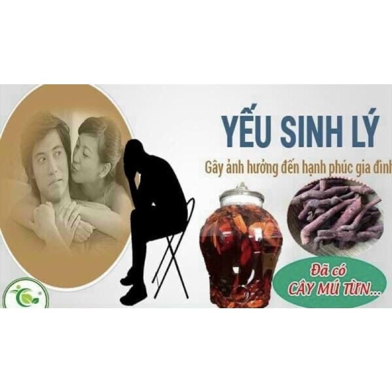 Rễ Mú Từn ( Ngâm rượu uống 1 ng khoẻ 2 người vui)