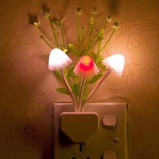 Đèn ngủ led cảm biến ánh sáng hình cây nấm