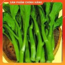 HẠT GIỐNG CẢI NGỒNG XANH THÂN MẬP