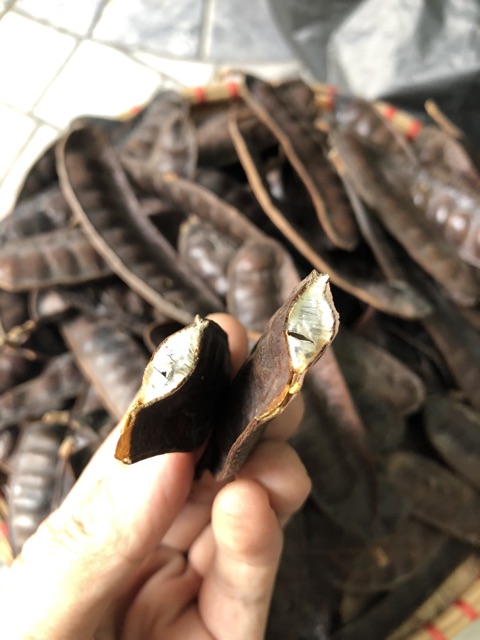 Bồ kết rụng nướng nguyên quả 500g