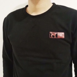 Áo sweater áo nỉ