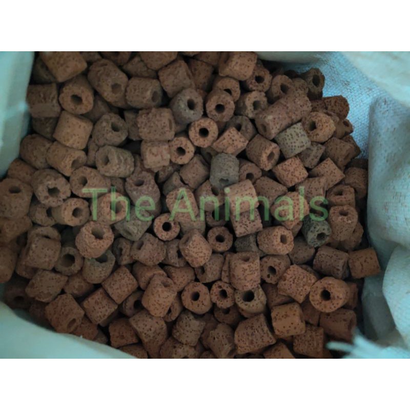 Viên sứ đỏ lọc nước cho hồ cá - Lọc tràn- Vật liệu lọc