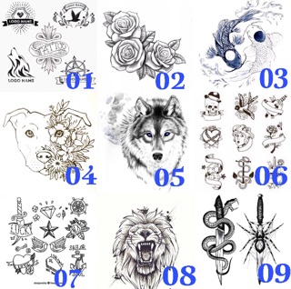 Set đồ Scan in hình xăm