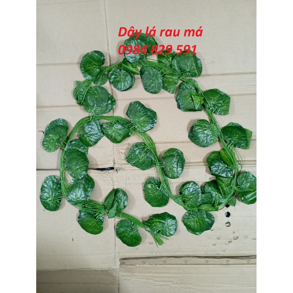 Dây leo giả: lá nho, trầu bà, thường xuân, rau má, dưa hấu, dài 2.4M