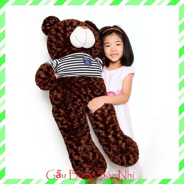 Gấu Bông Teddy Size 1m Cực Đẹp💥 FREESHIP 💥 Gấu Bông Sóc Nhí