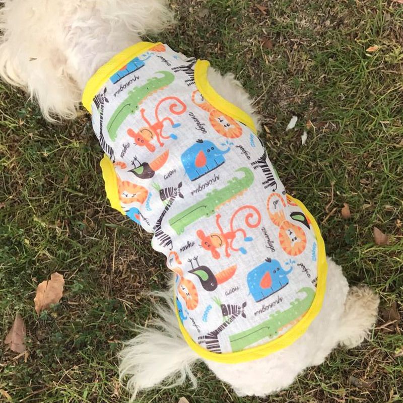 Áo Chó Mèo - Áo Lưới Cute Cho Chó Mèo