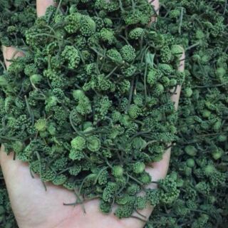 Nụ hoa tam thất 250g -500g