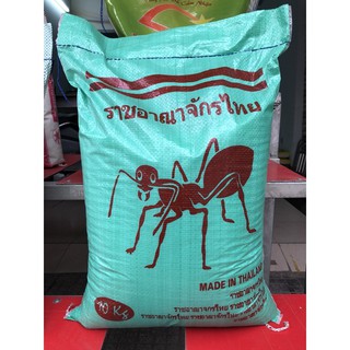 Gạo thái kiến xanh loại ngon 10kg