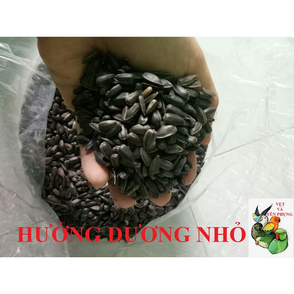 500gram HẠT TỔNG HỢP cho VẸT SUN CORUNES, GREEN CHEEK, GREEN NECK, XÍCH, HAHN, CAIQUE, RING NECK