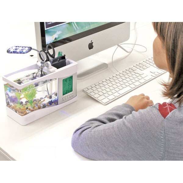 Bể cá Mini để bàn 3 in 1