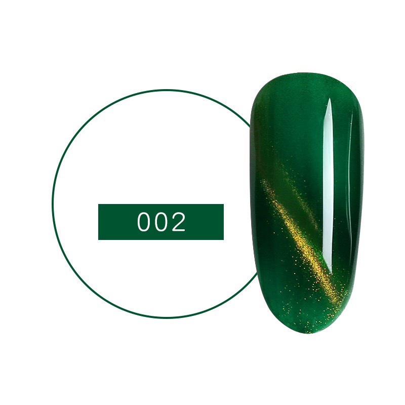 Sơn gel mắt mèo AS mã LM , DM , CM , ZM  , QM , HM ( chai đen )