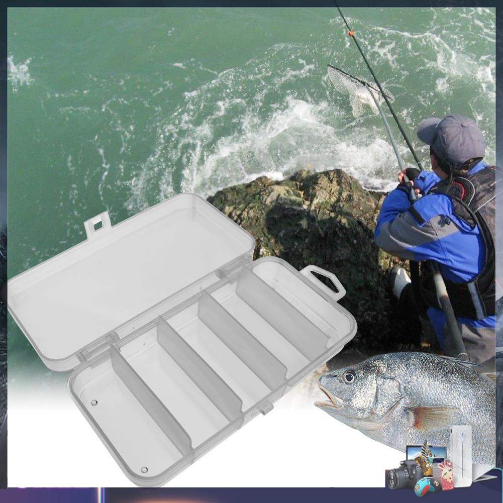 Hộp đựng mồi câu cá 5 ngăn thiết kế tiện lợi